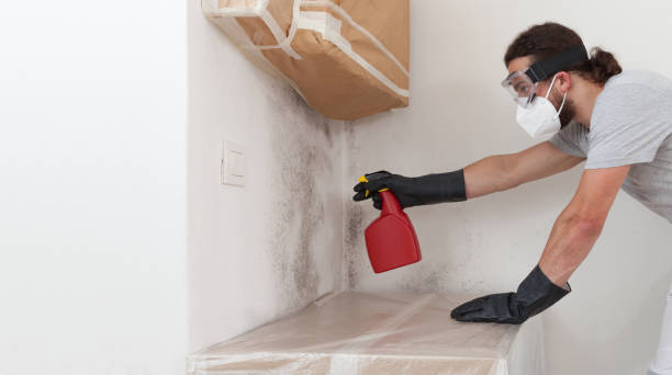 Professional Bathroom Mold Removal technician working in Houtzdale, PA