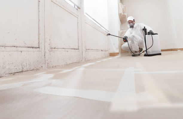 24/7 Emergency Bathroom Mold Removal experts in Houtzdale, PA